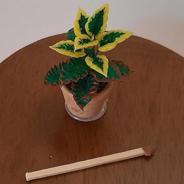 Miniatura papusi 1:12 Planta exotica in ghiveci ceramica