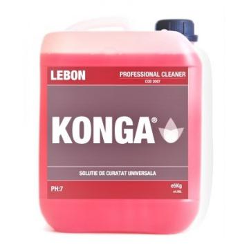 Detergent universal pentru suprafete Professional Cleaner