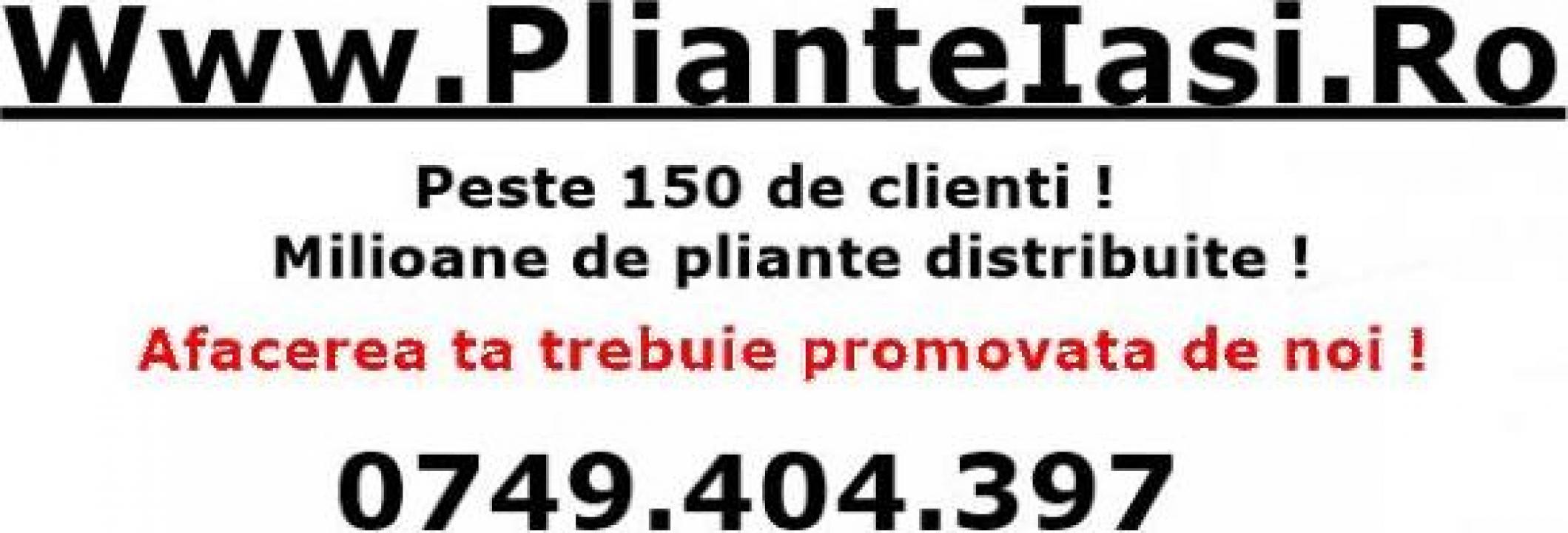 Marquee The nicotine Servicii distributie pliante, flyere in Iasi - Iasi - PlianteIasi Services,  ID: 1377173, pareri